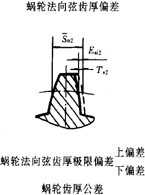 平面二次包絡環面蝸杆傳動精度蝸杆、蝸輪誤差的定義及代号